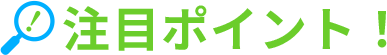 注目ポイント